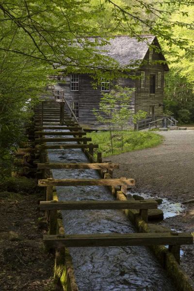 TN, Great Smoky Mts Wooden flume directs water